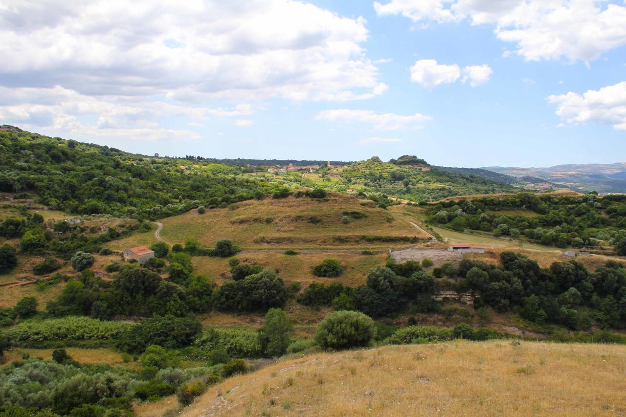 Antas Bed & Breakfast Padria Exterior photo
